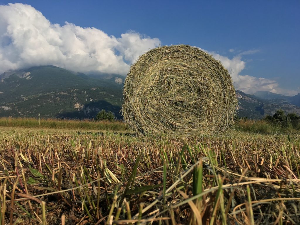 Agriculture à Eygliers