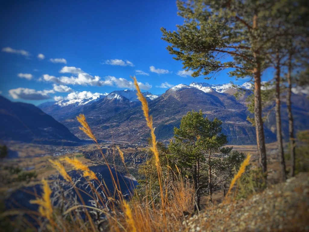 Automne vallée du Guil